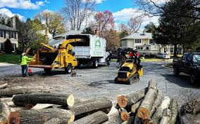 Best Lawn Grading and Leveling  in Atherton, CA